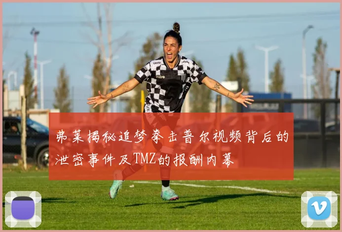 弗莱揭秘追梦拳击普尔视频背后的泄密事件及TMZ的报酬内幕