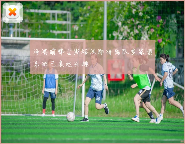 海港前锋古斯塔沃即将离队多家俱乐部已表达兴趣