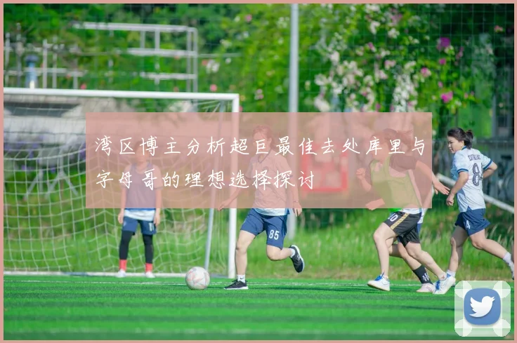 湾区博主分析超巨最佳去处库里与字母哥的理想选择探讨