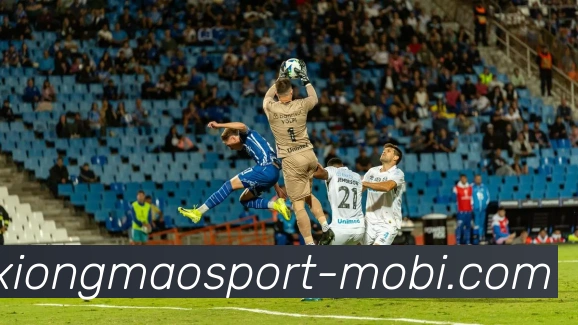 熊猫体育平台生态图