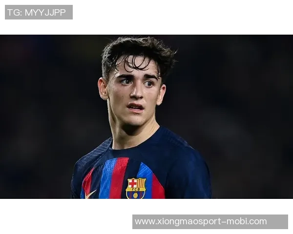 加维恢复进展顺利有望在明年二月重返赛场