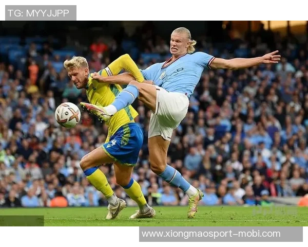 国家队场均进球统计哈兰德领衔盖德穆勒柯奇士紧随其后